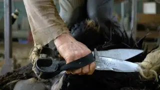 Brebis Sardes : il est temps de se faire tondre avec Laura et Gabby