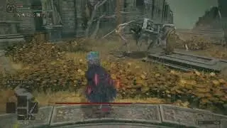 Grafted Scion No Sprint No Buffs Fast Kill 1