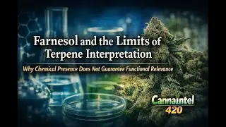 Farnesol and the Limits of Terpene Interpretation