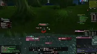 Hogger Solo - Level 11 Paladin (WoW Classic Hardcore SSF)