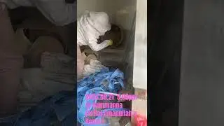 Sri lankan Bee Honey  Keeping