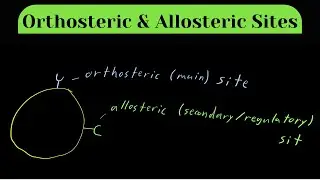*VIDEO IN ERROR - CHECK DESCRIPTION* - Orthosteric & Allosteric Sites