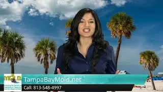 Mold Inspection Tampa Mold Testing 5 Star Review TampaBayMold.net