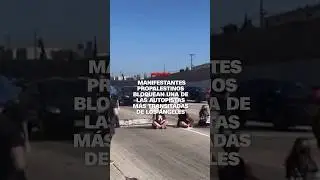 Manifestantes propalestinos bloquean una de las autopistas m&aacute;s transitadas de Los &Aacute;ngeles