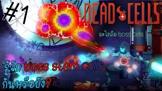 วิธีการได้รับ Bosscells ทั้งหมดใน Deadcell มือใหม่ควรรู้(part1) #deadcells ในมือถือ