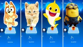 Bluey Bingo Vs Cute Cat VS Baby Shark VS Minions - Tiles Hop EDM Rush