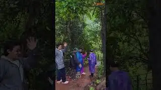 Netravali Wildlife Sanctuary South Goa - Book Now With LetsGoa