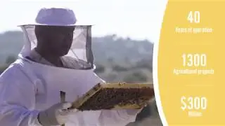 A Great Example For A Company Profile Stock Footage Video