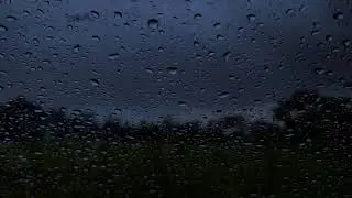 No Ads Rain Sounds for Sleeping - ASMR Extreme Rain On Tin Roof for Severe Insomnia Relief Now