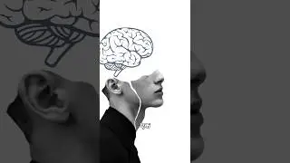 THE FLOW STATE OF MIND#mindset #goalsetting #focushacks #interview