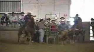 Rodeo Madness