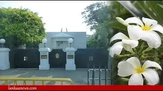 වසර 300කට පෙර ලන්දේසි ස්කාගාරයක්වූ අරලිය ගහ මන්දිරයේ කතාව - Temple Trees