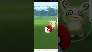 Shiny Spinda ✨️ on Ledyba Spotlight hour