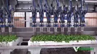 Visser - Pic o Mat GR-2700 Transplanter machine - Plug transplanting for young plants
