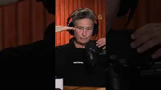 k.d. lang reflects on her relationship to country music #podcast #interview