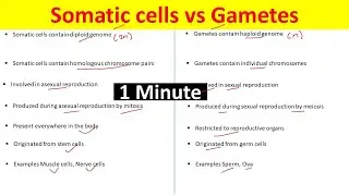 Difference Between Gametes and Somatic cells | Somatic Cells vs Gametes |