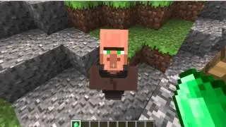 Seed spotlight