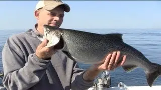 Lake Michigan Salmon Charter Fishing Trip
