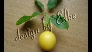 Mirabellen Marmelade ohne Kern und Schale