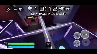 HOW to make hedgehog friend on bear*