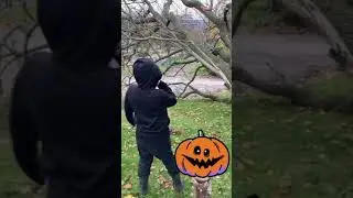 Ninja kicking #shorts #ninja