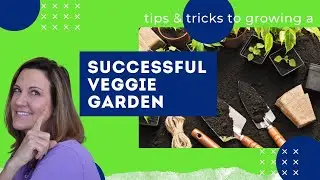 Growing a Successful Veggie Garden