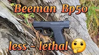 🔥 Beeman BP50 менее смертоносен 🔫 первый раз на стрельбище #веселье #beeman #пневматика