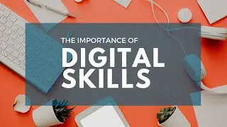 Experts warn of a widening digital skills gap