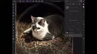 Fake album cover art in Affinity Photo