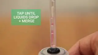 SnapDX - Step5