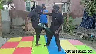 Martial arts Self-defense techniques