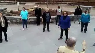 RIOTA  Occupational Therapy Conference  - Tai Chi for Rehab - Tom Hobin, PT  Rob Iacono COTA