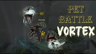 World of Warcraft: WORLD PET BATTLE | CUTTING WIND | HOW TO BEAT VORTEX