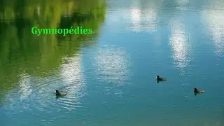 Satie - Gymnopédies | Classical Music Video