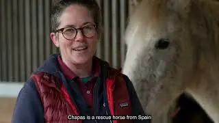 Horses and their therapeutic benefits on mental and physical wellbeing
