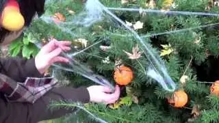 [S] Sollux & Karkat: Halloween Decorations