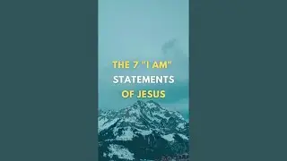 The 7 