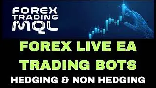 Forex Expert Advisor Live Trading