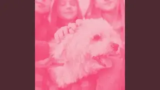 Acoustic and Electric Piano Jazz Duo Soundtrack for Heavenly Doggies