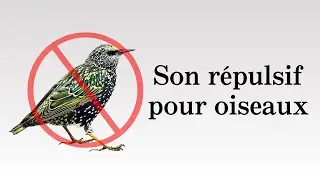 Son répulsif pour oiseaux | pigeons, corbeaux, étourneaux, etc.