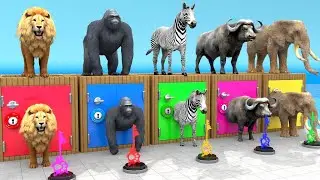 Choose The Right key 🔑 Escape Room Challenge Animals Cage Game Cow, Lion, T-rex, Elephant, Gorilla