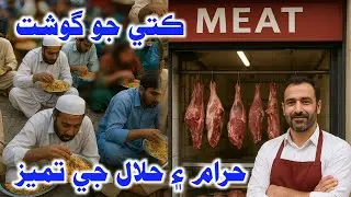 Kute Jo Gosht | Short Clip | Molana Abdullah Pahore | 2025 | Pervez Palh Official
