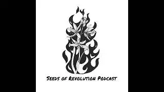 William Gillis on Radical vs Liberal Abolitionism