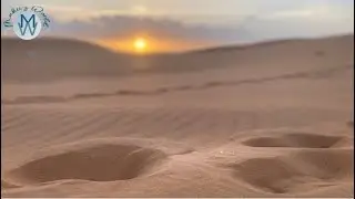 Driving Through Saudi Deserts to Riyadh, Riyadh Road Trip,Where the Desert Meets the Road: Riyadh 