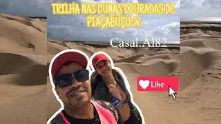 Trilha nas Dunas douradas de piaçabuçu -Alagoas 