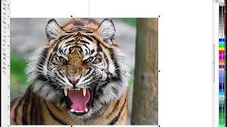 Synergy 17 - How to record a CorelDraw script for automation - macro