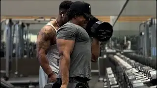 Abs & Arm day - bulk day 111