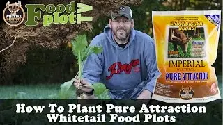 How To Plant Pure Attraction Whitetail Institute Food Plots