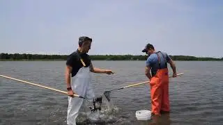 East Hampton Shellfish Hatchery