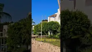 DOMINA CORAL BAY Egypt Sharmelsheikh #travel #hotel #egypt #summer #sharmelsheikh #top #shorts